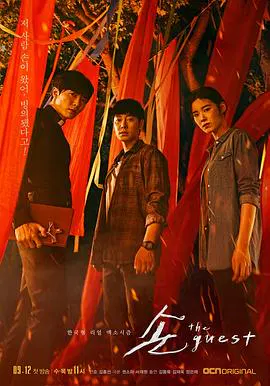 【韩国剧】客：The Guest